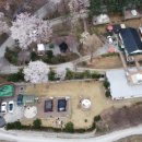 벳소캠프 이미지