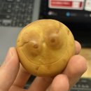[주간일기] 혹독하고 푸르던 계절이 깊게 긁고 간 자리