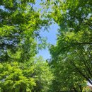청암관광농원 잔디캠핑장 1박 2일 캠핑 후기 - 추천 사이트