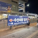 겨울 가기 전에 방어 드셔야죠?? 노량진 청양 수산 내돈내산 찐 후기