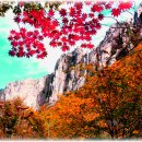 후정산장 Daum카페