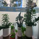 21세기미용실 이미지