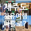 🤷안녕하세요! 아저씨? 🙅‍♂️나 아저씨 아니라고_4박5일 제주 여행(한라산, 우도, 성산일출봉 그리고 서귀포)
