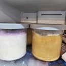 (내돈내산 후기포함) 닌자크리미vs드웰러vs브레빌, 아이스크림 메이커 3종비교