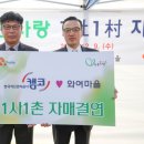 다복솔농장 헤럴드경제