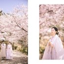 스튜디오제이 이미지