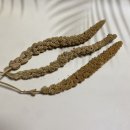 주식회사 리프패럿 이미지