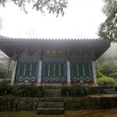 사자사지 이미지