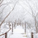 온게스트하우스 이미지