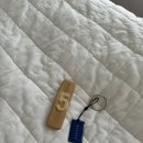 섭이스테이