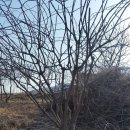 목인농장 이미지