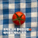 퀀텀파트너스 | 휴대폰케이스 [나인틴프라이데이] [입체 토마토 도트패턴 실버 에폭시 케이스] 후기🍅