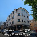 베이커스커피 | 동백호수공원 근처 실내 애견동반 카페 | 클로버커피 로스터즈앤베이커스 재방문 후기 🍞☕