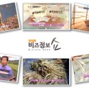 엘림타조 이미지
