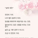 플라워캘리