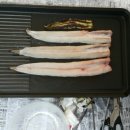 임진강민물장어 이미지