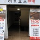 하루효소편백 이미지