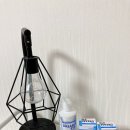 매일끼는 렌즈 드림아이렌즈세정액으로 추천