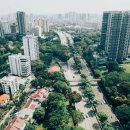 파크필드 이미지