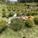 양지할아버지 이미지