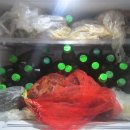 가랑비로 이틀 방콕 차가버섯 라스트 이미지
