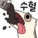 와우펫앤쥬 - 달서구 달구벌대로 1229 | 와우펫앤쥬