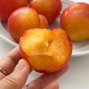 빅토리농장 | 추희 자두 후무사 자두, 꿀맛 소문난 빅토리팜 내돈내산 후기