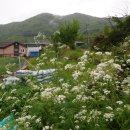 다봉마을 이미지