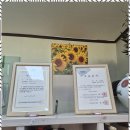 송하입구 | 춘천철학관 운명에 귀 기울이는 특별한 경험, 송하철학관 후기