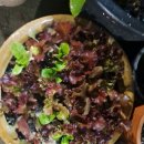 은광약국 이미지