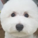 쭈스타일 이미지