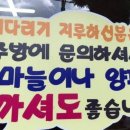 손님식당 네이버블로그