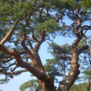 삼송마을 이미지