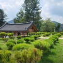 소나무목장 | 불교 사찰 장지 추천 남양주 무량수목장 가격 상담 후기