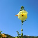 마차산슈퍼 이미지