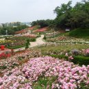 장미원 이미지
