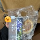 전국택시복지정비센타 방이점 | 2026 안산 장거리 수영대회 1.5K 참가후기