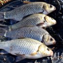 체육공원앞 이미지