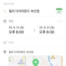 다이아몬드릴리