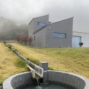 스테이 경화 이미지