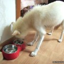 곰순이네 - 보령시 해수욕장9길 2-40 | 곰순이네