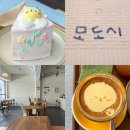 카페시로 | 대전 꿈돌이 케이크 카페 모도시 방문 후기 (메뉴·가격 정리)