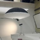 강서구-20 | [강아지증명사진/M2스튜디오] 부산반려동물증명사진맛집 강서구 M2스튜디오 강추후기