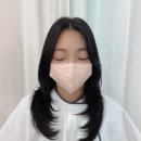 미엔느봄