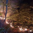 부산대학교 대운동장 이미지