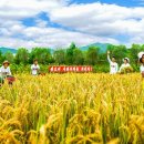 알곡농장 이미지