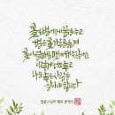 수채화 초급 이미지