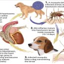 이루다 동물병원 이미지