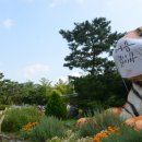 동물원 가는 길 이미지