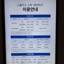 덕산파크 | 덕산 스플라스 리솜 워터파크 후기